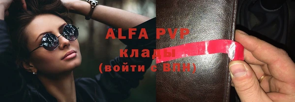 apvp Алзамай