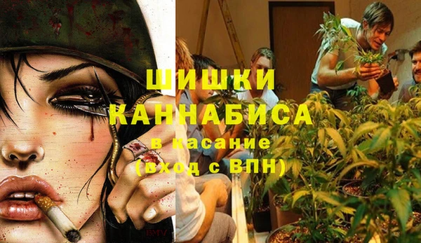 шишки Алексин