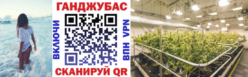 где продают   Николаевск  Канабис план 